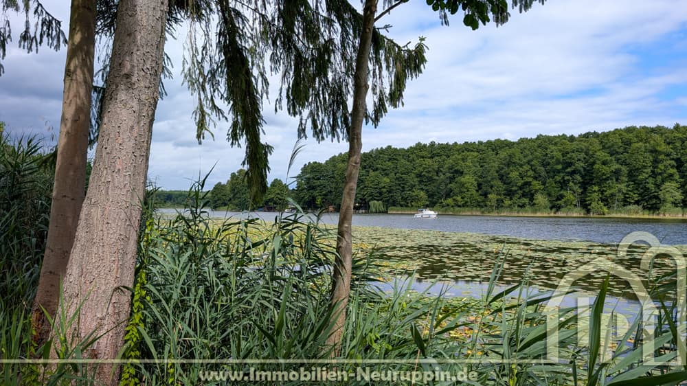 Grundstück in Molchow Foto 4