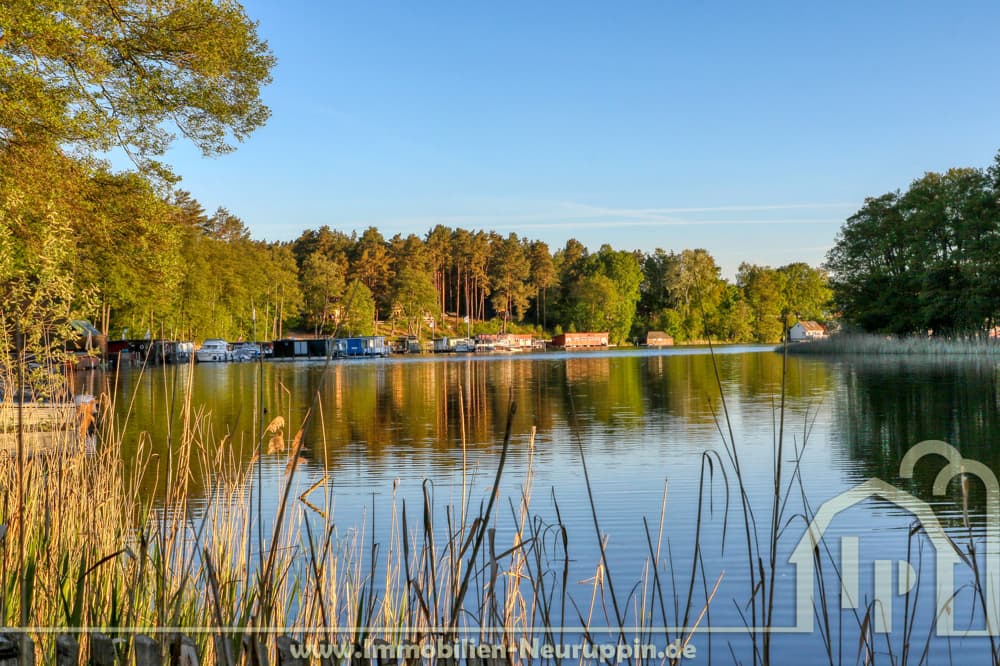Der See
